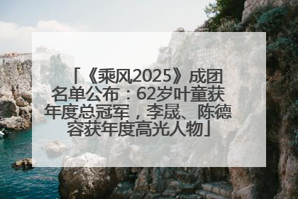 《乘风2025》成团名单公布：62岁叶童获年度总冠军，李晟、陈德容获年度高光人物