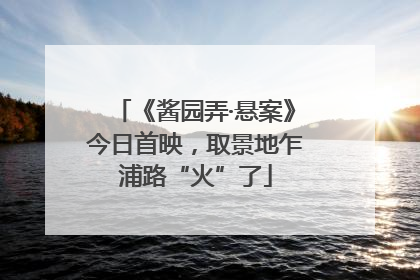 《酱园弄·悬案》今日首映，取景地乍浦路“火”了