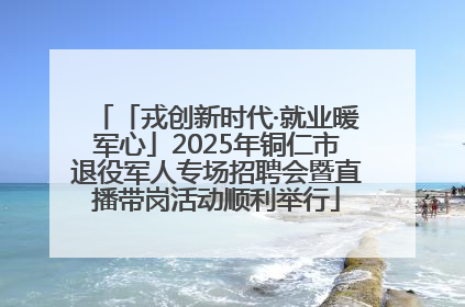 「戎创新时代·就业暖军心」2025年铜仁市退役军人专场招聘会暨直播带岗活动顺利举行