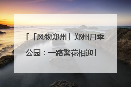 「风物郑州」郑州月季公园：一路繁花相迎