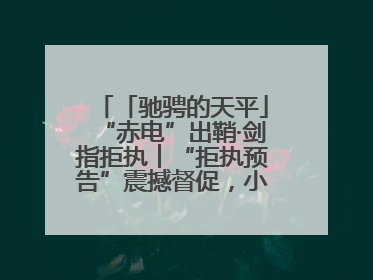 「驰骋的天平」“赤电”出鞘·剑指拒执︱“拒执预告”震撼督促，小心“执行”变“执刑”