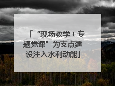 “现场教学＋专题党课”为支点建设注入水利动能