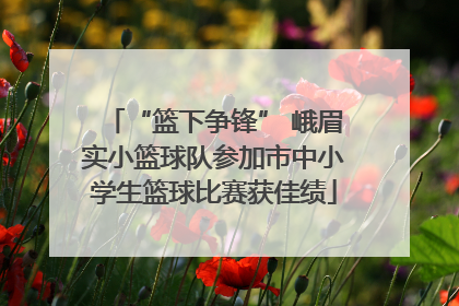“篮下争锋” 峨眉实小篮球队参加市中小学生篮球比赛获佳绩