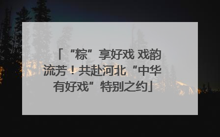 “粽”享好戏 戏韵流芳！共赴河北“中华有好戏”特别之约