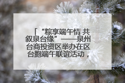 “粽享端午情 共叙泉台缘”——泉州台商投资区举办在区台胞端午联谊活动，共话同源深情