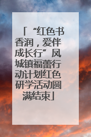 “红色书香润，爱伴成长行”凤城镇福蕾行动计划红色研学活动圆满结束