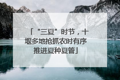 “三夏”时节，十堰多地抢抓农时有序推进夏种夏管