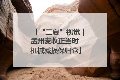 “三夏”视觉｜孟州麦收正当时 机械减损保归仓