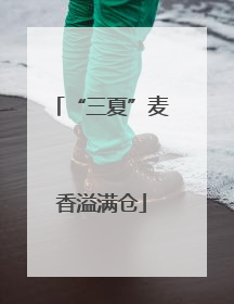 “三夏”麦香溢满仓