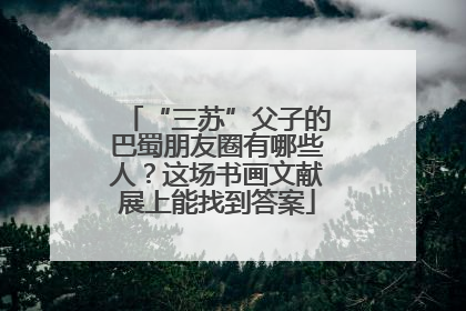 “三苏”父子的巴蜀朋友圈有哪些人？这场书画文献展上能找到答案