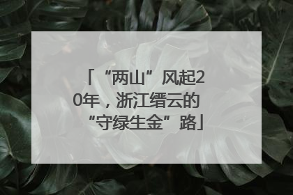 “两山”风起20年，浙江缙云的“守绿生金”路