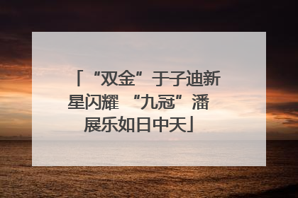 “双金”于子迪新星闪耀 “九冠”潘展乐如日中天