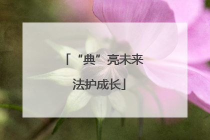 “典”亮未来 法护成长