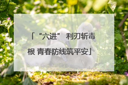 “六进” 利刃斩毒根 青春防线筑平安