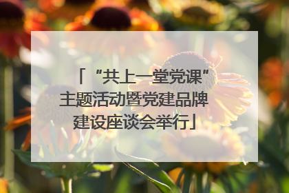 “共上一堂党课”主题活动暨党建品牌建设座谈会举行