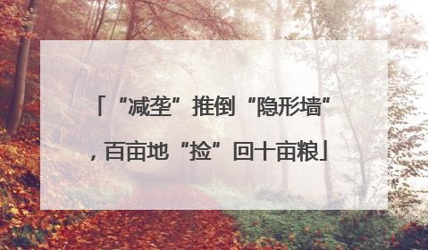 “减垄”推倒“隐形墙”，百亩地“捡”回十亩粮