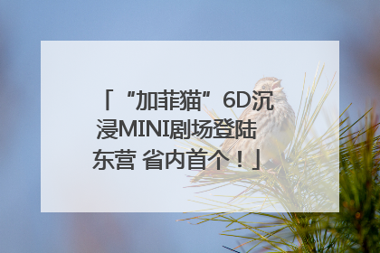 “加菲猫”6D沉浸MINI剧场登陆东营 省内首个！