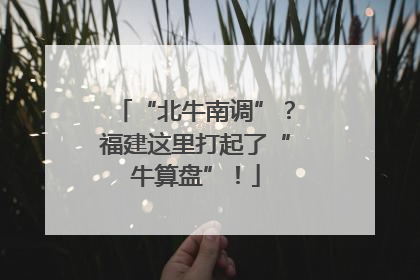 “北牛南调”？福建这里打起了“牛算盘”！