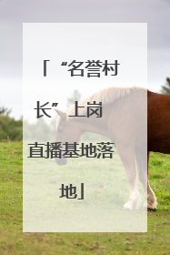 “名誉村长”上岗 直播基地落地