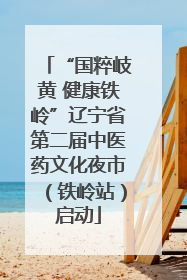 “国粹岐黄 健康铁岭”辽宁省第二届中医药文化夜市（铁岭站）启动
