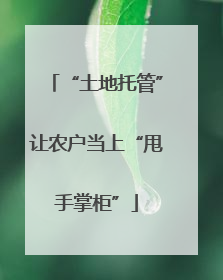 “土地托管”让农户当上“甩手掌柜”