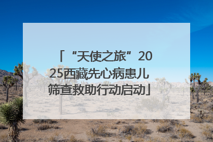 “天使之旅”2025西藏先心病患儿筛查救助行动启动