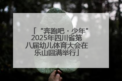 “奔跑吧・少年”2025年四川省第八届幼儿体育大会在乐山圆满举行