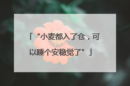 “小麦都入了仓，可以睡个安稳觉了”