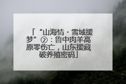 “山海情・雪域援梦”②：鲁中肉羊高原零伤亡，山东援藏破养殖密码