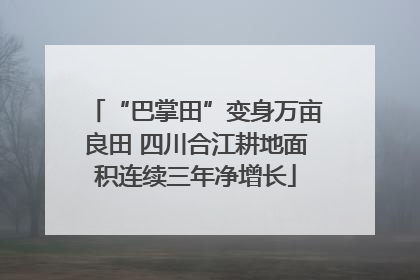 “巴掌田”变身万亩良田 四川合江耕地面积连续三年净增长