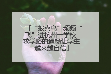 “报喜鸟”频频“飞”进杭州一学校 求学路的通畅让学生越来越自信