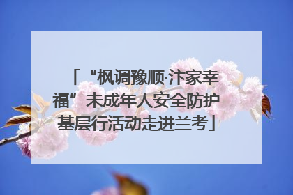 “枫调豫顺·汴家幸福”未成年人安全防护基层行活动走进兰考