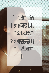 “政”解丨如何引来“金凤凰”？河南亮出“一盘棋”