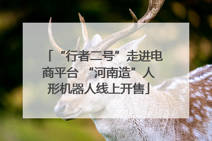 “行者二号”走进电商平台 “河南造”人形机器人线上开售