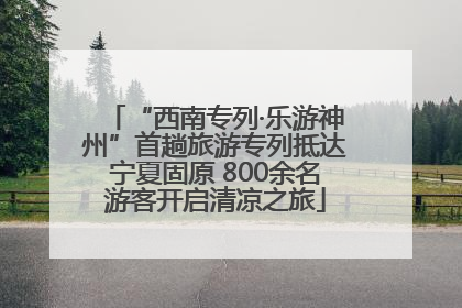 “西南专列·乐游神州”首趟旅游专列抵达宁夏固原 800余名游客开启清凉之旅