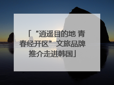 “逍遥目的地 青春经开区”文旅品牌推介走进韩国