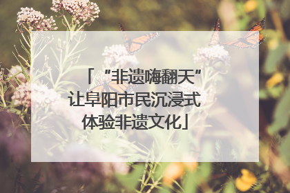 “非遗嗨翻天”让阜阳市民沉浸式体验非遗文化