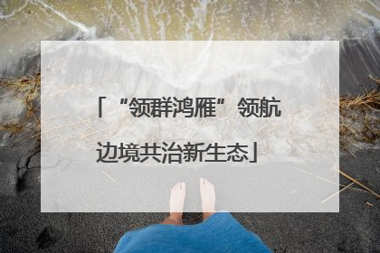 “领群鸿雁”领航边境共治新生态