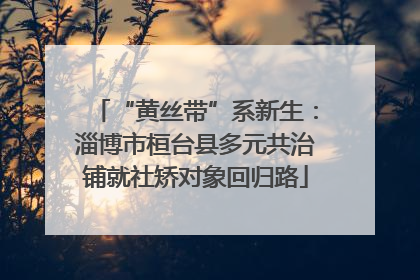 “黄丝带”系新生：淄博市桓台县多元共治铺就社矫对象回归路