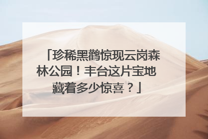 珍稀黑鹳惊现云岗森林公园！丰台这片宝地藏着多少惊喜？