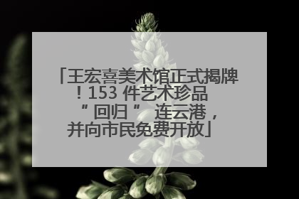 王宏喜美术馆正式揭牌！153 件艺术珍品 “ 回归 ” 连云港，并向市民免费开放
