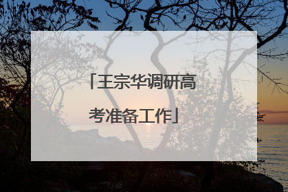 王宗华调研高考准备工作