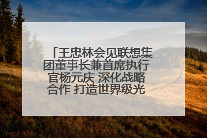 王忠林会见联想集团董事长兼首席执行官杨元庆 深化战略合作 打造世界级光电子信息产业集群