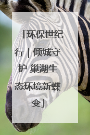 环保世纪行｜倾城守护 巢湖生态环境新蝶变