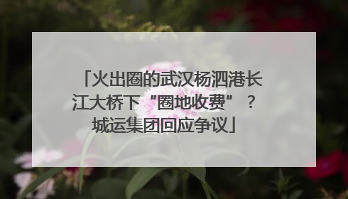 火出圈的武汉杨泗港长江大桥下“圈地收费”？城运集团回应争议