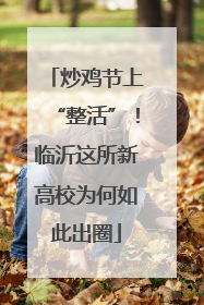 炒鸡节上“整活”！临沂这所新高校为何如此出圈