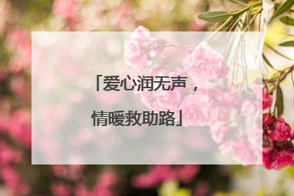爱心润无声，情暖救助路