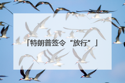 特朗普签令“放行”