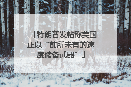 特朗普发帖称美国正以“前所未有的速度储备武器”