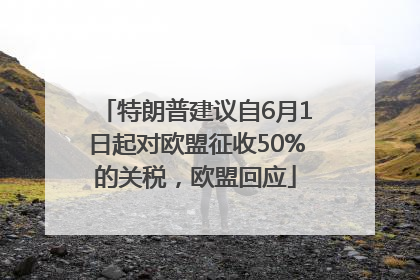 特朗普建议自6月1日起对欧盟征收50%的关税，欧盟回应
